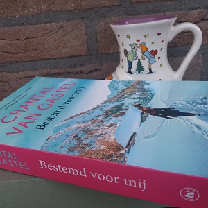 Foto boek Bestemd voor mij van Chantal van Gastel